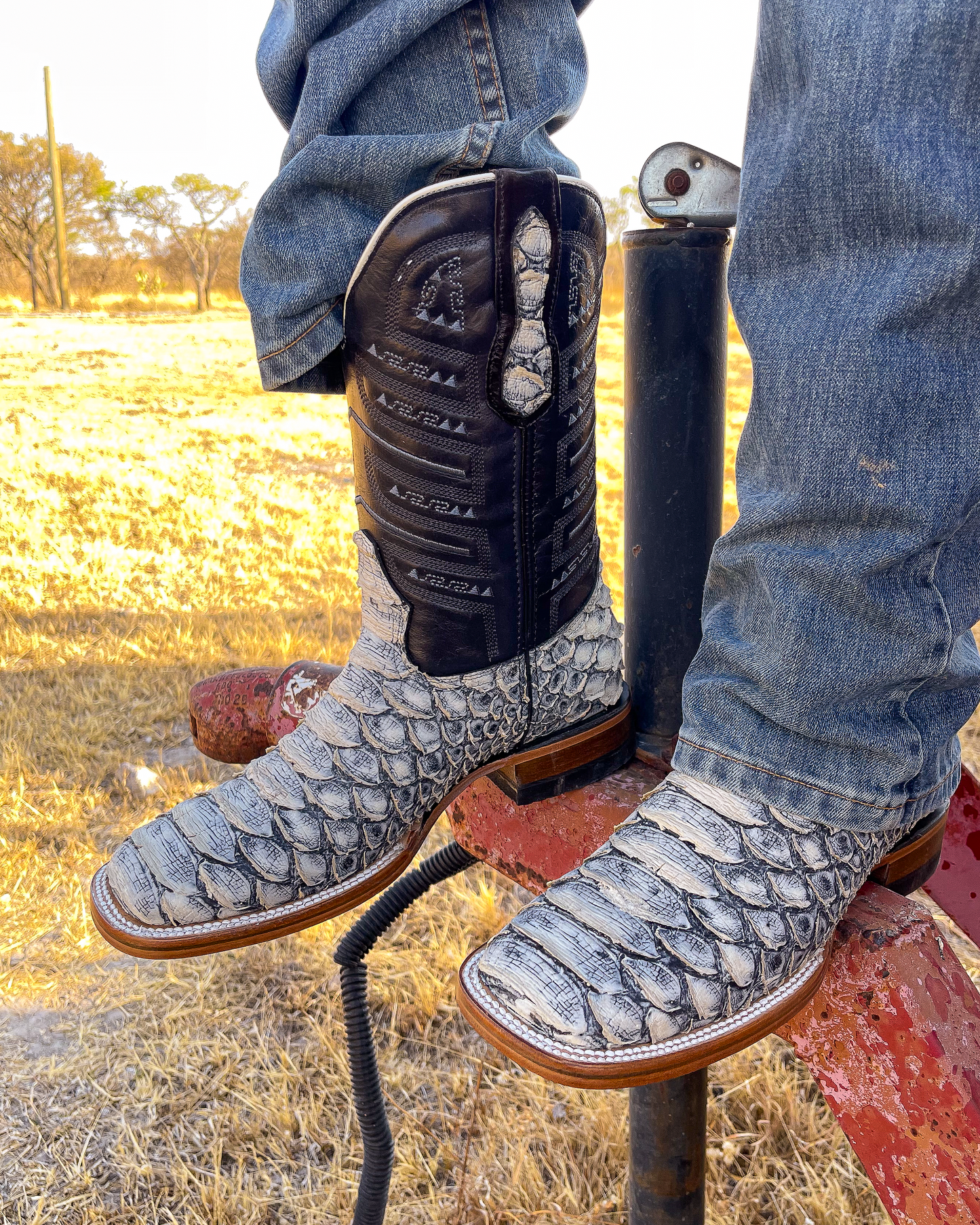Bota Bulldog Pitón Gris Sombreado