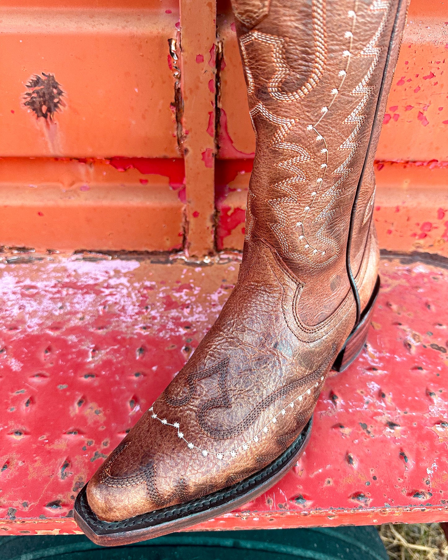 Bota Vaquera Alta Alice Shedron