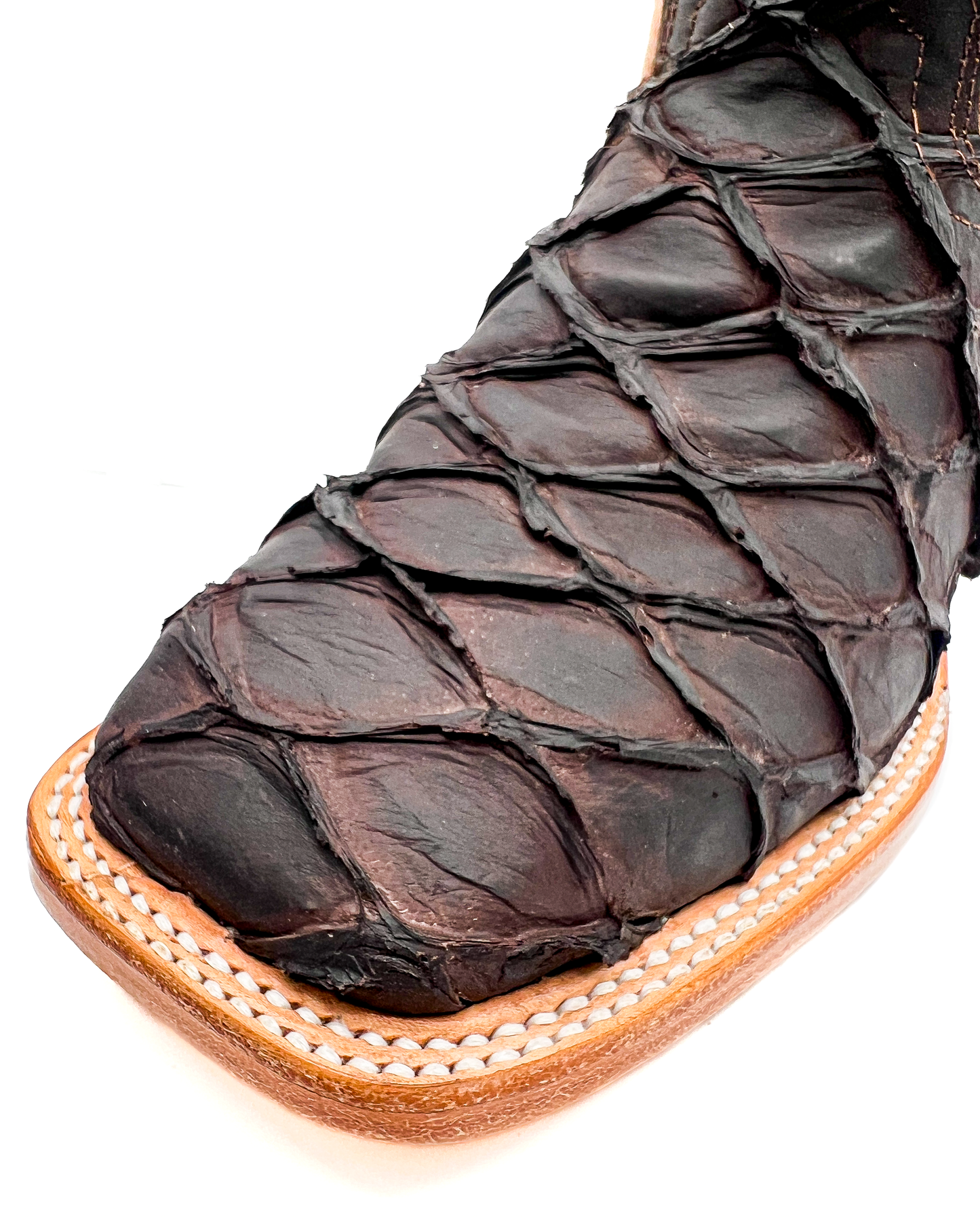 Bota Bulldog Pescado Café Chocolate