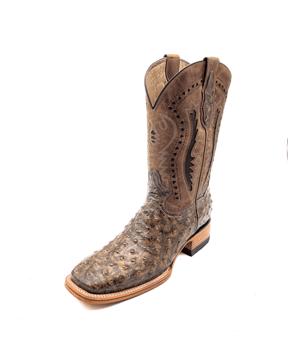 Bota Bulldog Avestruz Miel Rústica