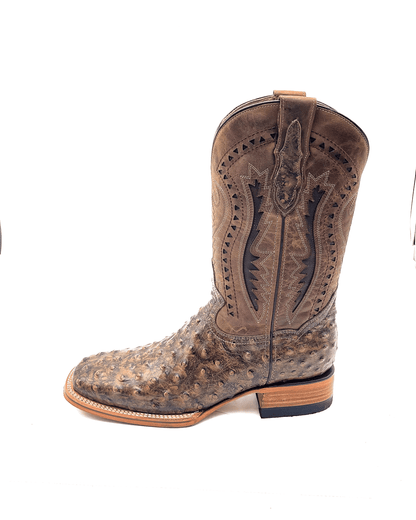 Bota Bulldog Avestruz Miel Rústica