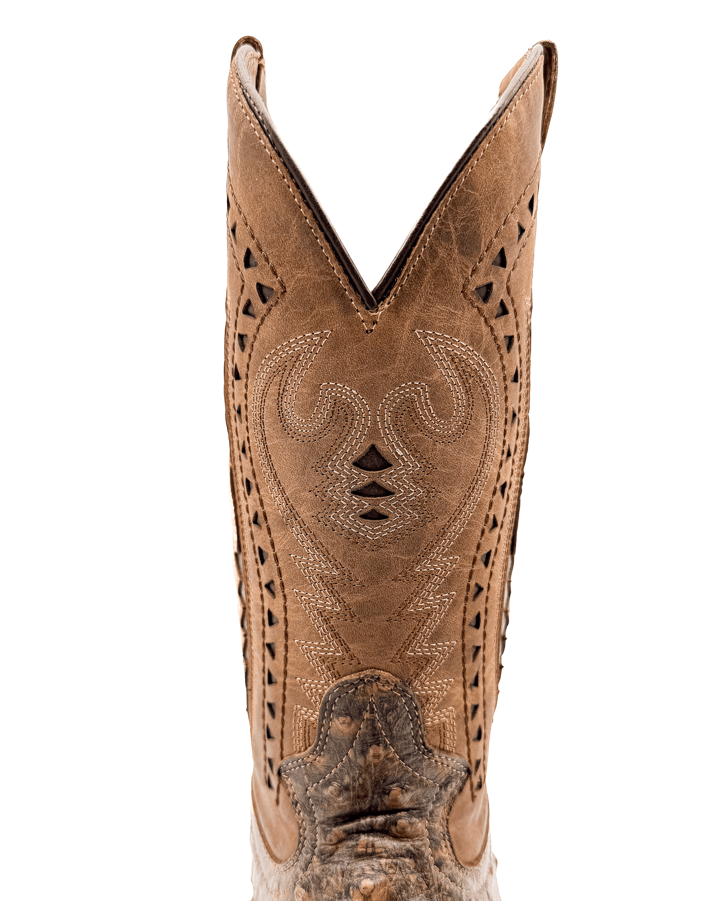 Bota Bulldog Avestruz Miel Rústica