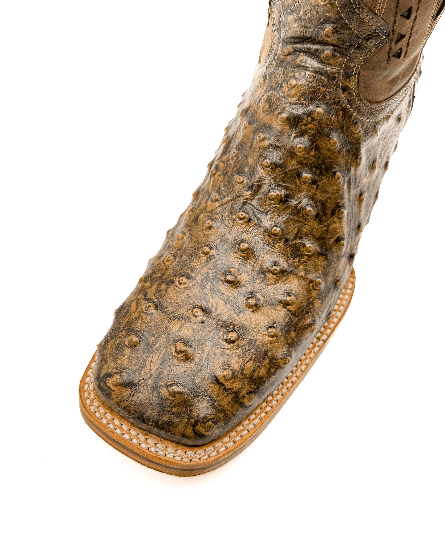 Bota Bulldog Avestruz Miel Rústica