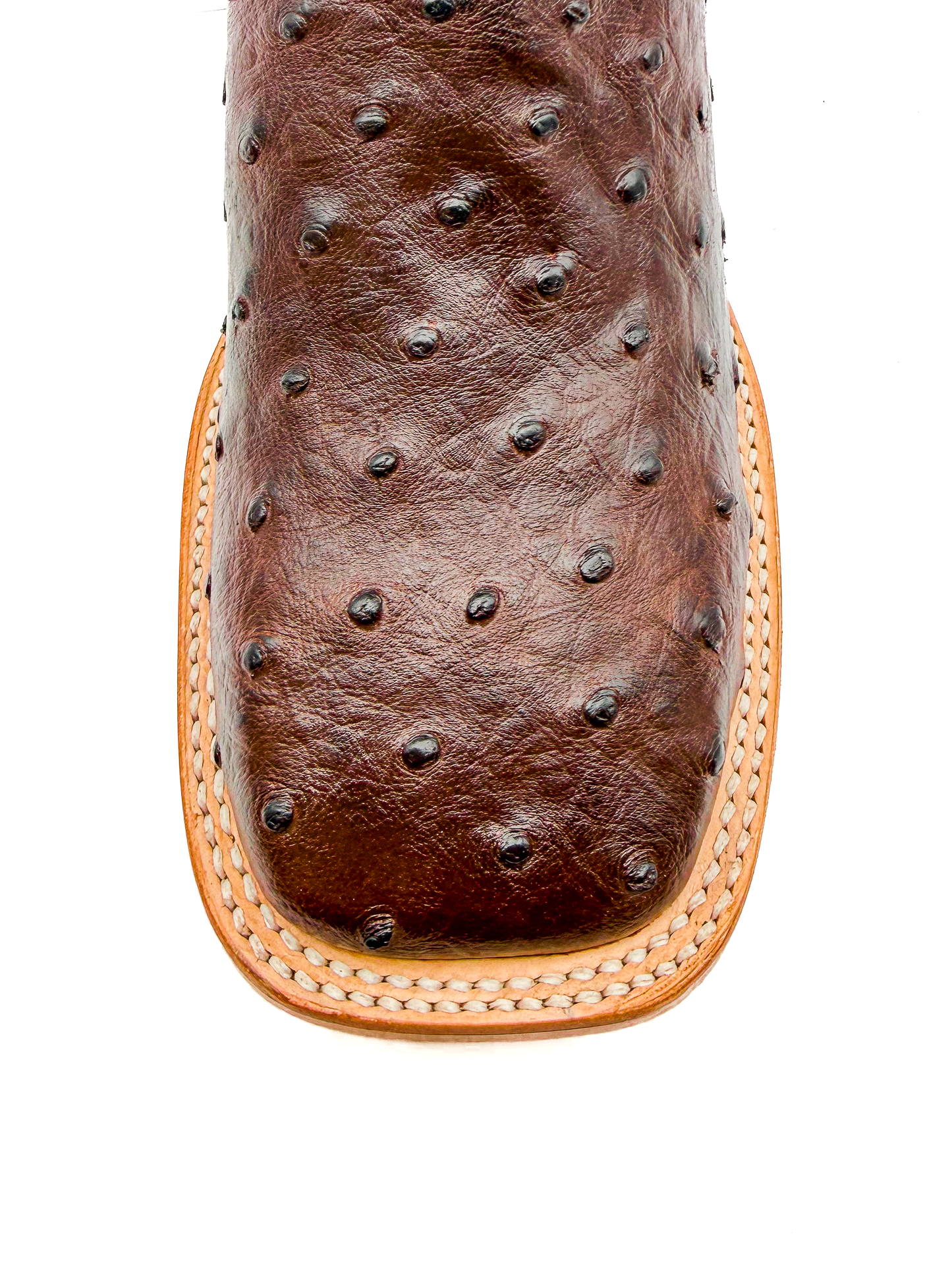 Bota Bulldog Avestruz Chocolate