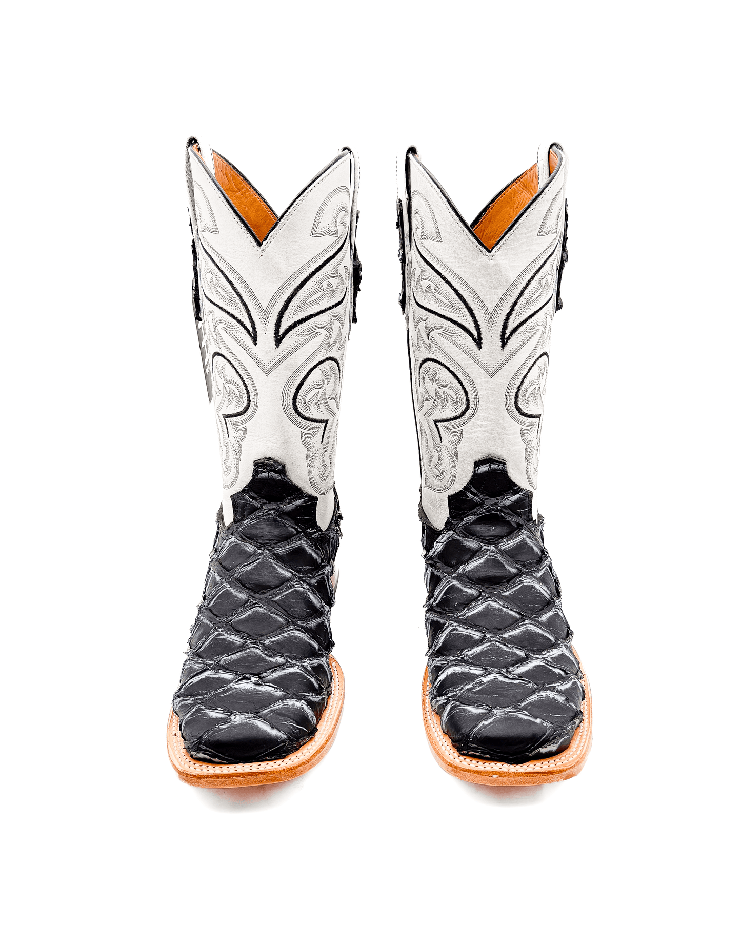 Bota Bulldog Pescado Periódico