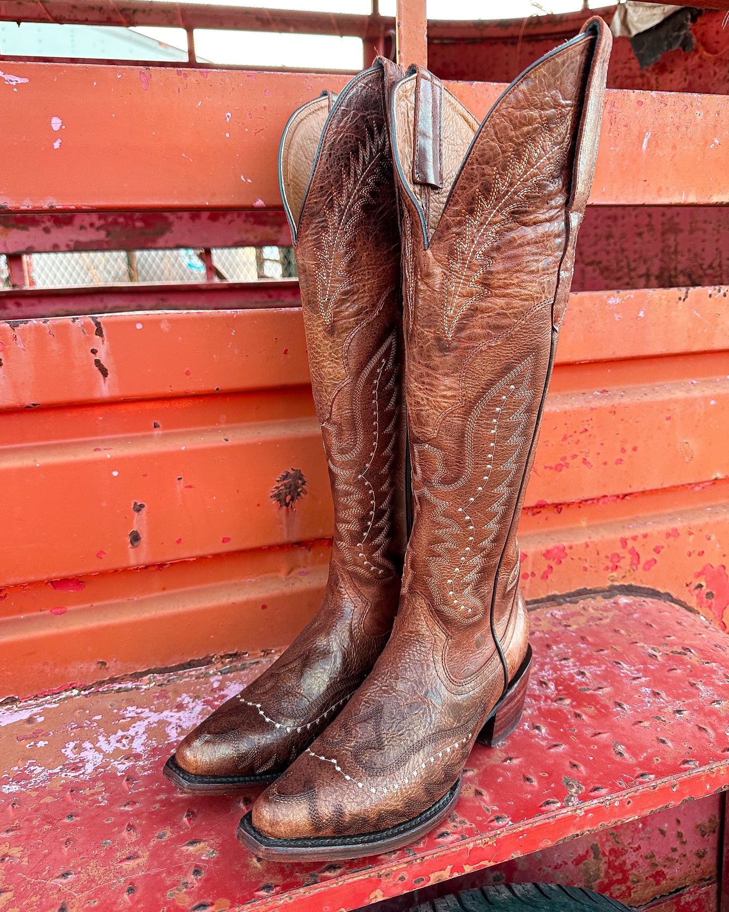 Bota Vaquera Alta Alice Shedron