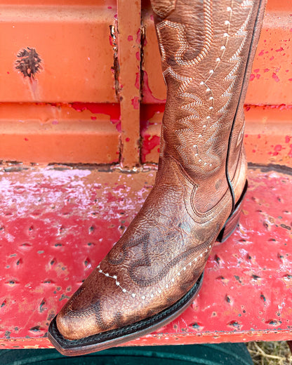 Bota Vaquera Alta Alice Shedron