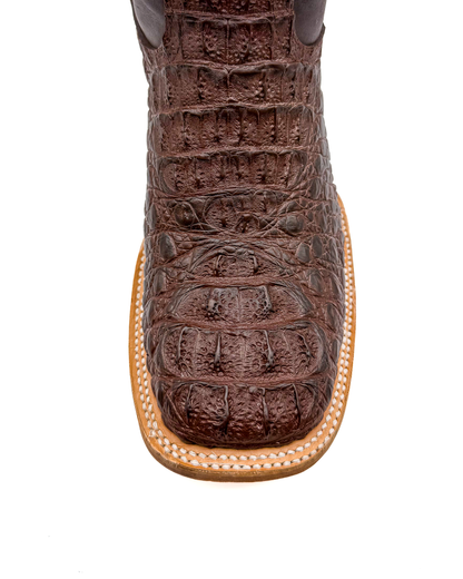 Bota Bulldog Nuca Café