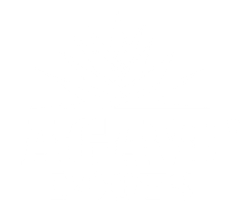 Agave Boots MX